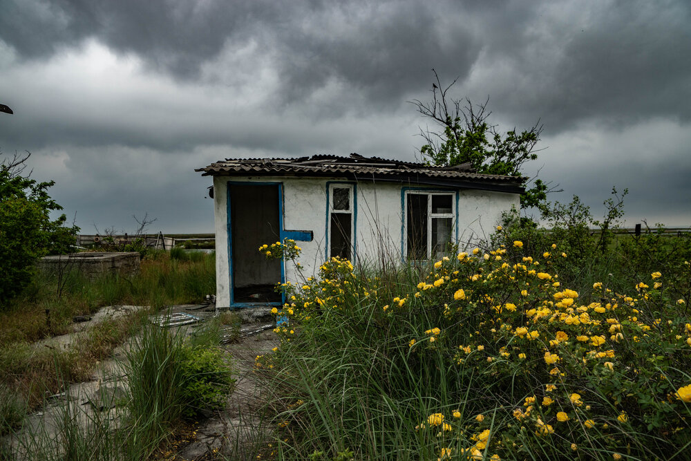Photograph by Наталья Пилипенко