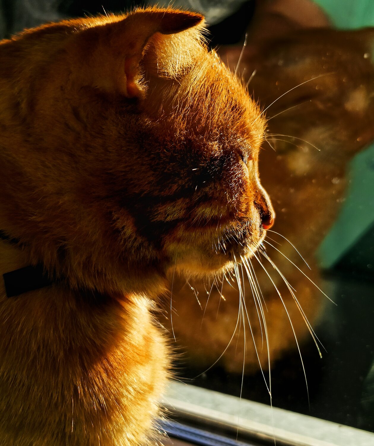 Photo #14048067