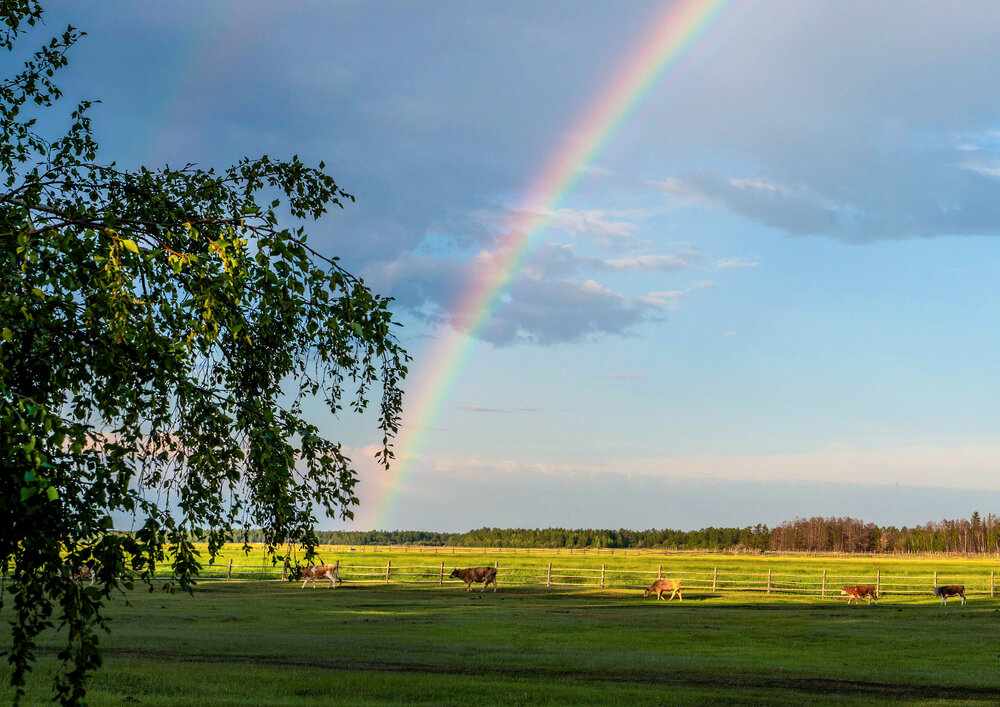 Photograph by Саргылана Прокопьева