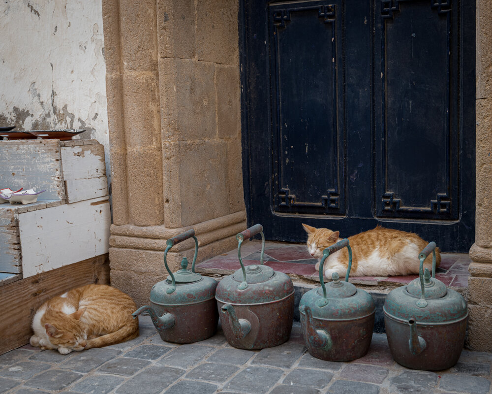 Photograph by Sophie Abuhazera