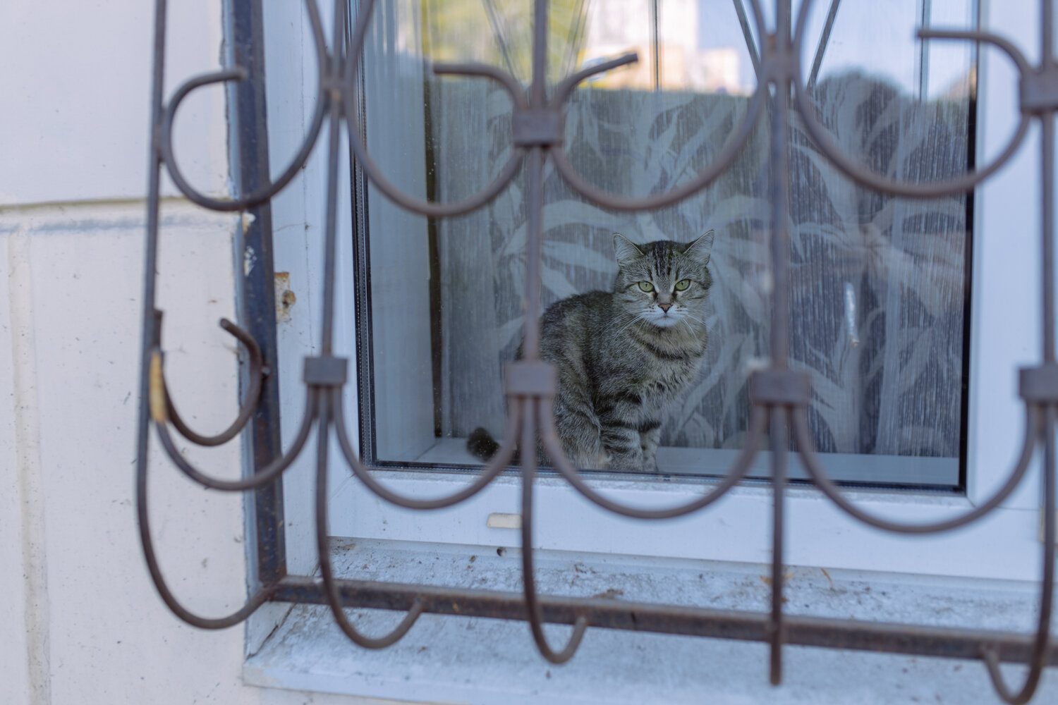 Photo #14048132