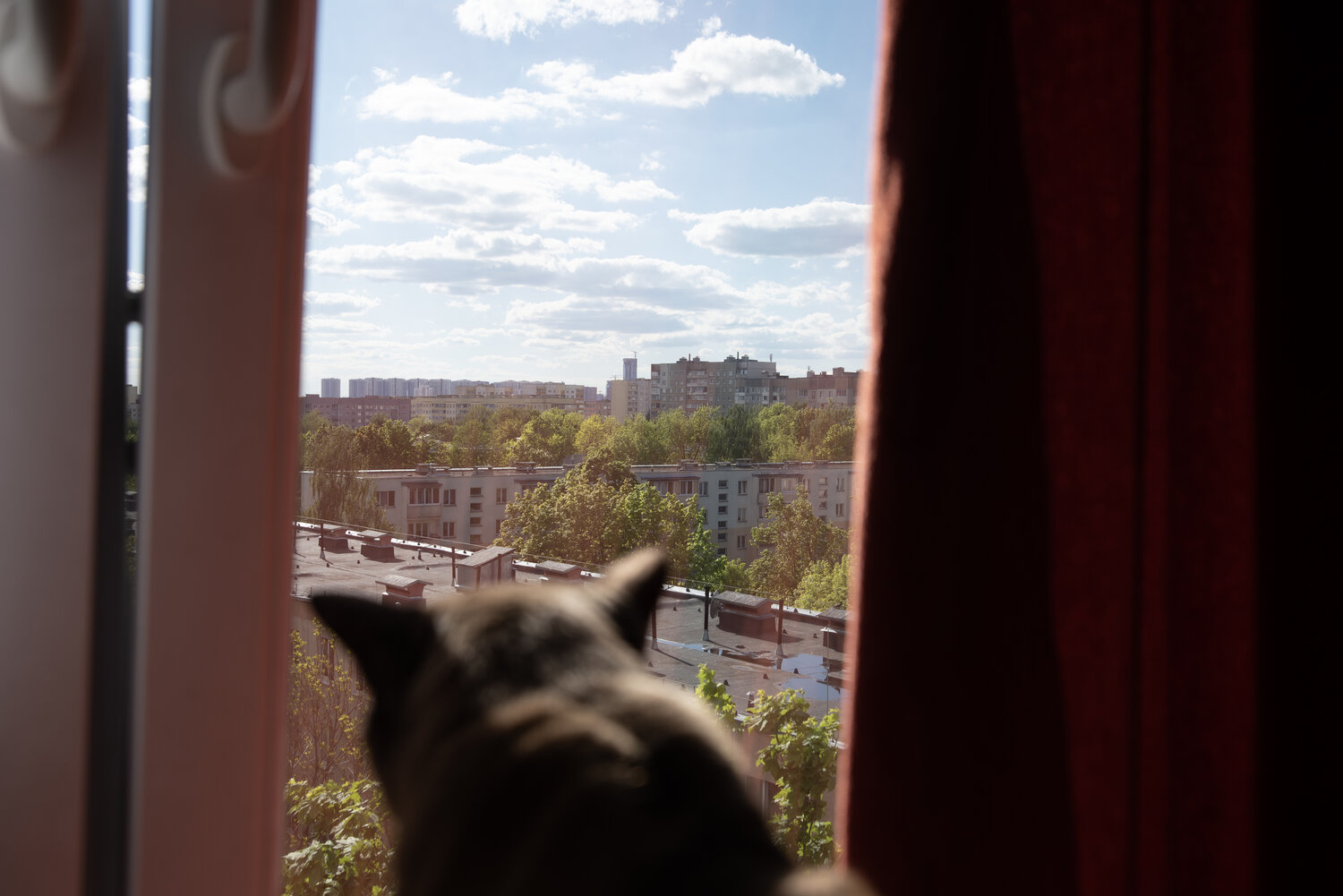 Photo #14048251