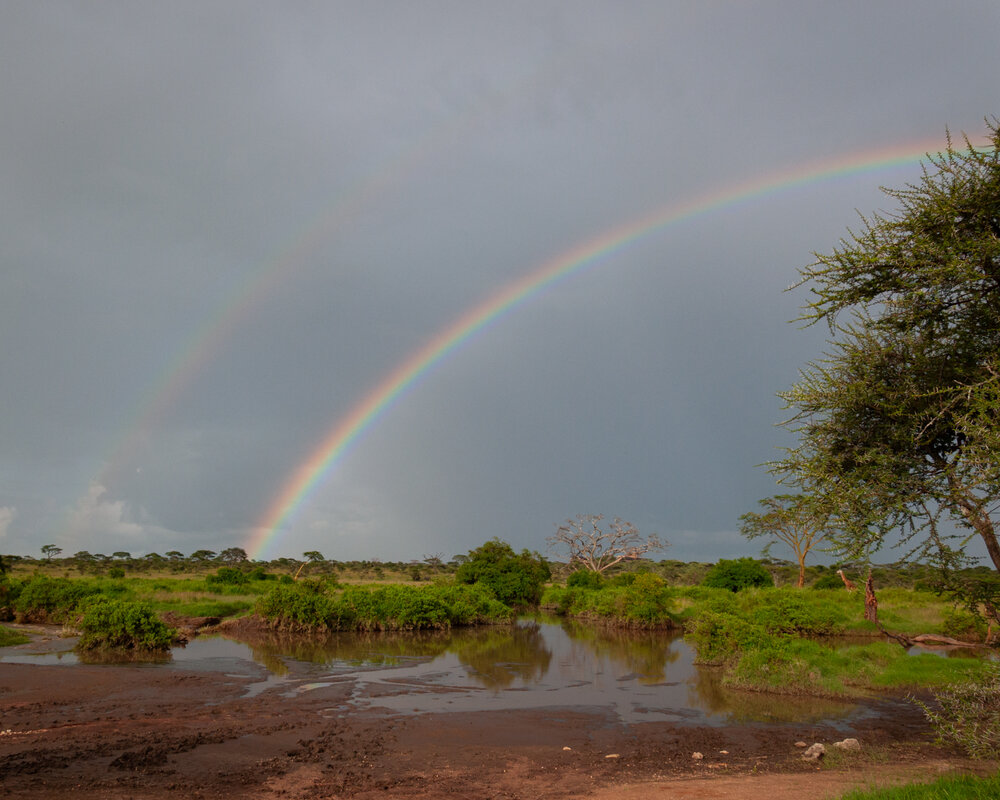 Photograph by Sophie Abuhazera