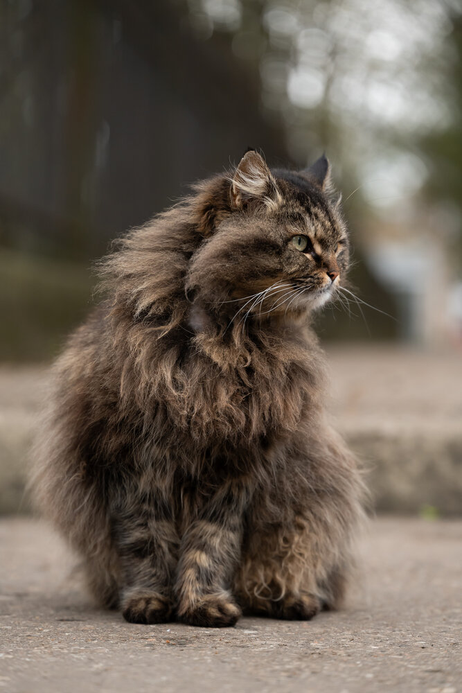 Photograph by Александр Левин