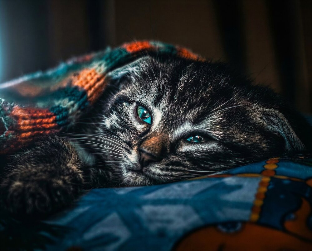 Photograph by Владимир Михайлов