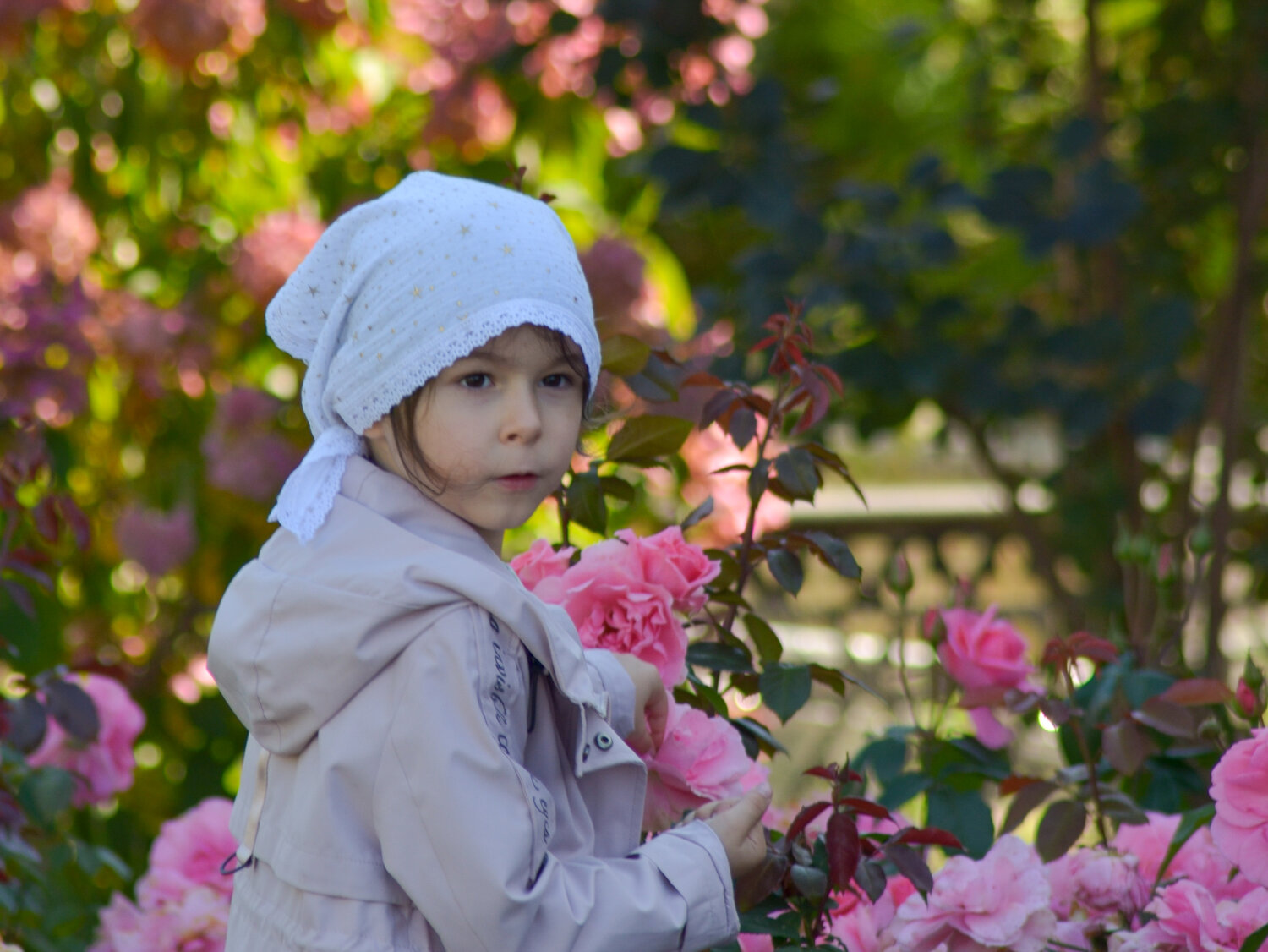 Photo #14048339