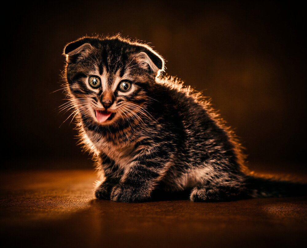 Photograph by Владимир Михайлов