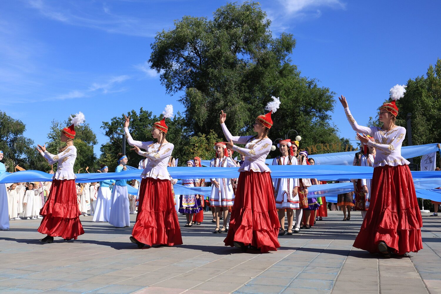 Photo #14048388