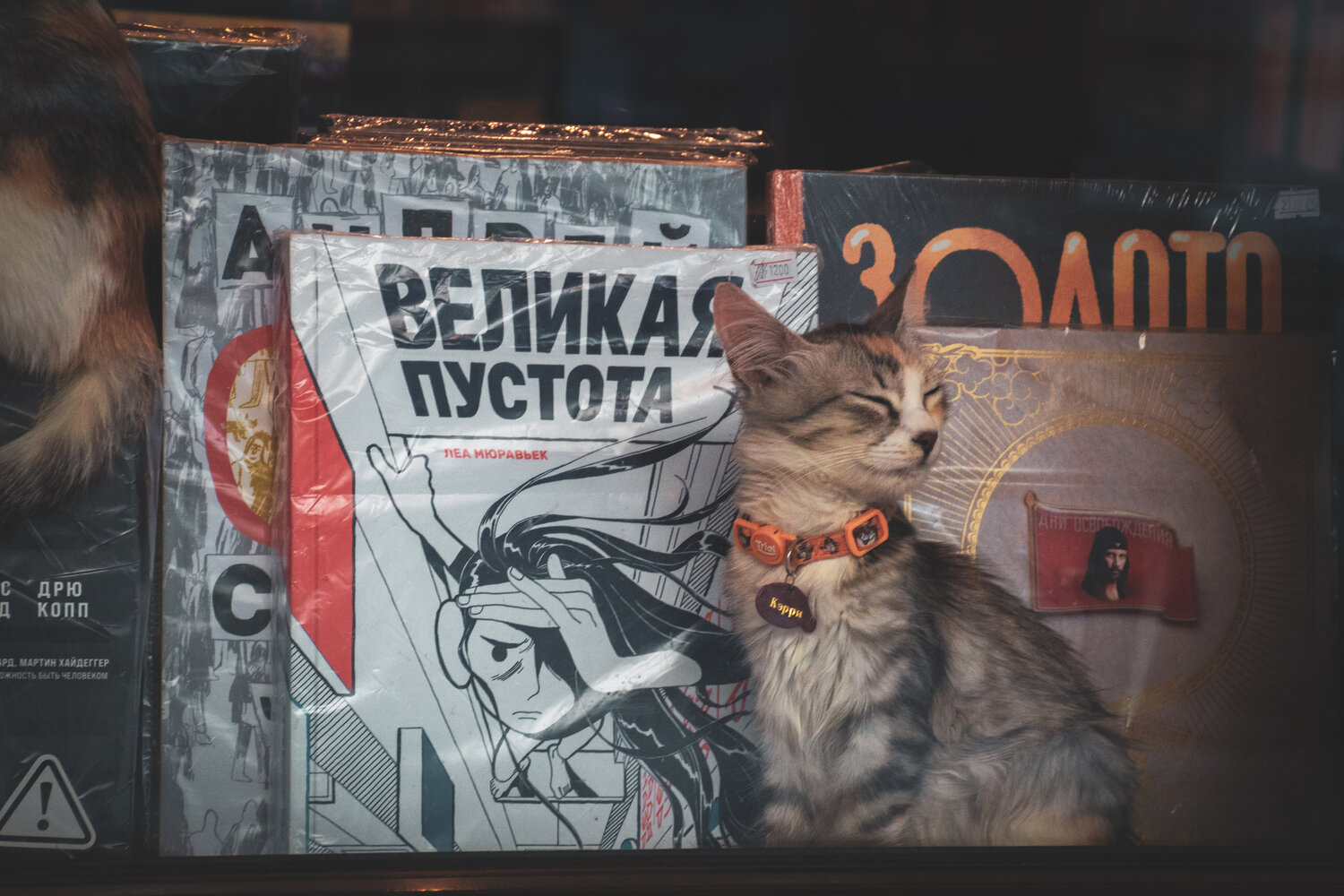 За стеклом