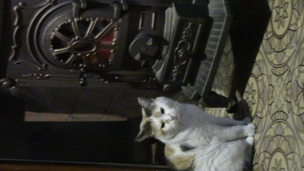 Photo #14048432