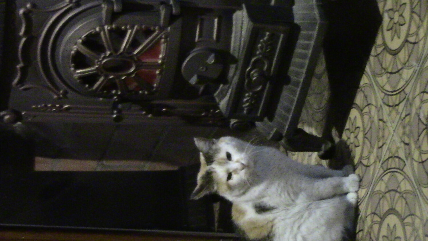 Photo #14048432