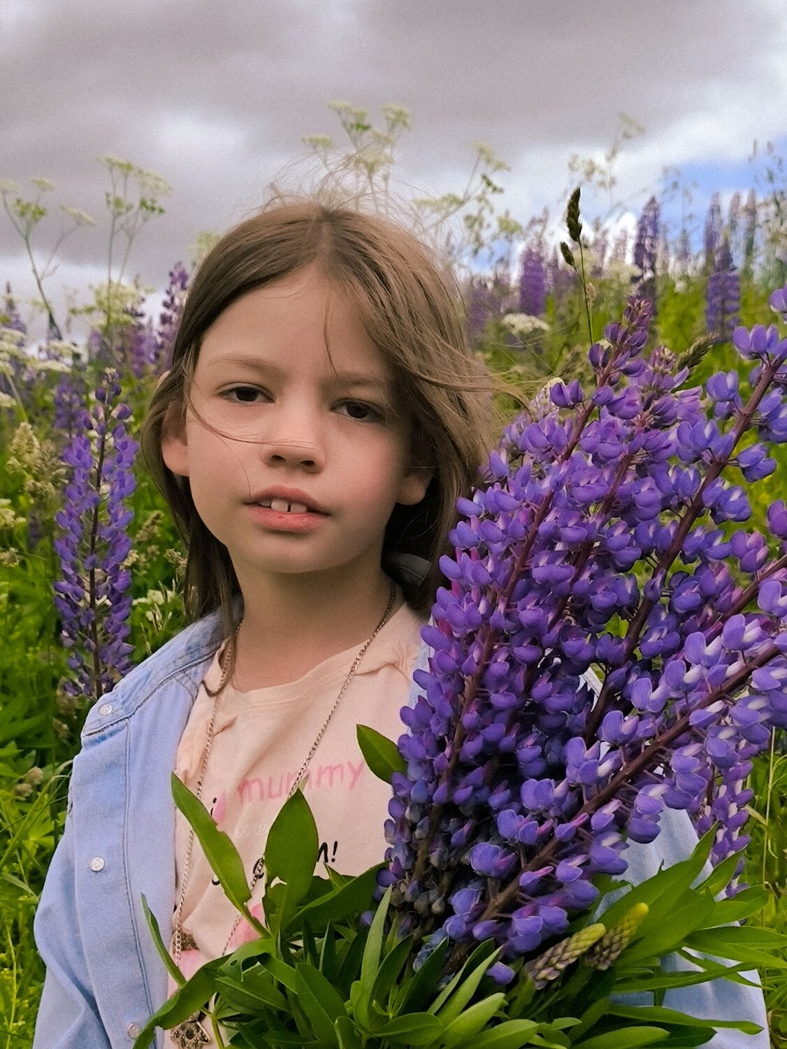 Photo #14048442