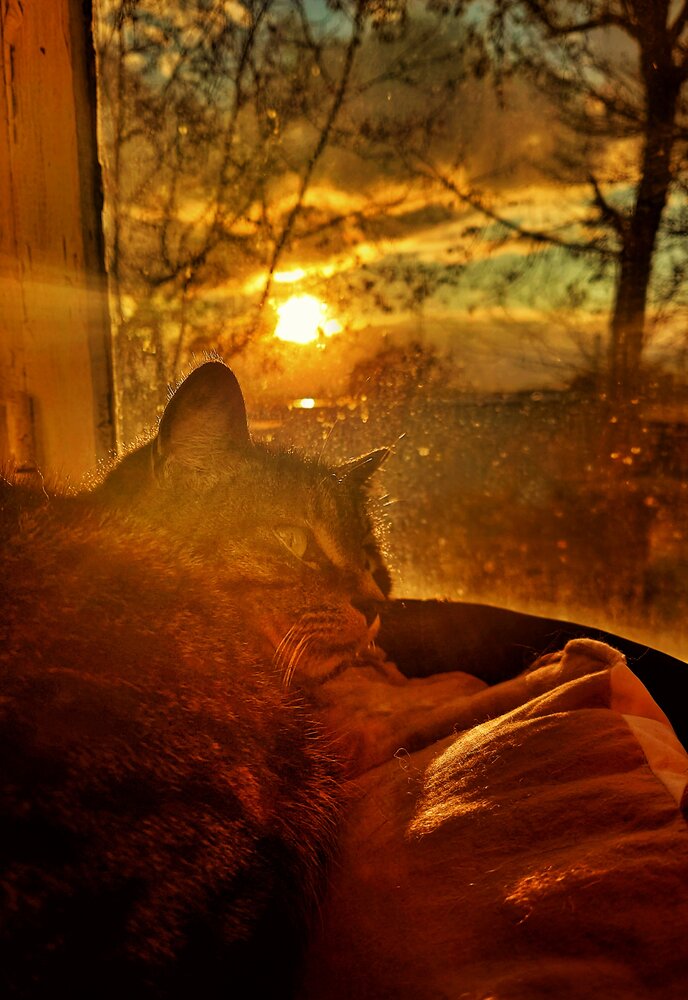 Photograph by Таращук Евгений