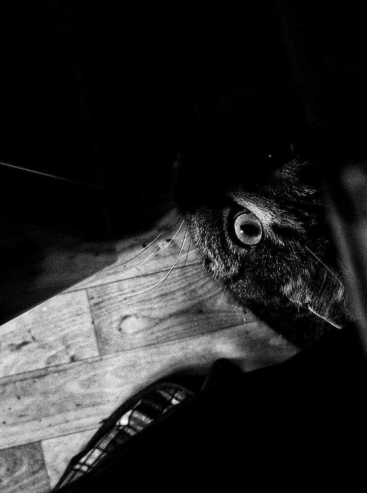 Photograph by Таращук Евгений
