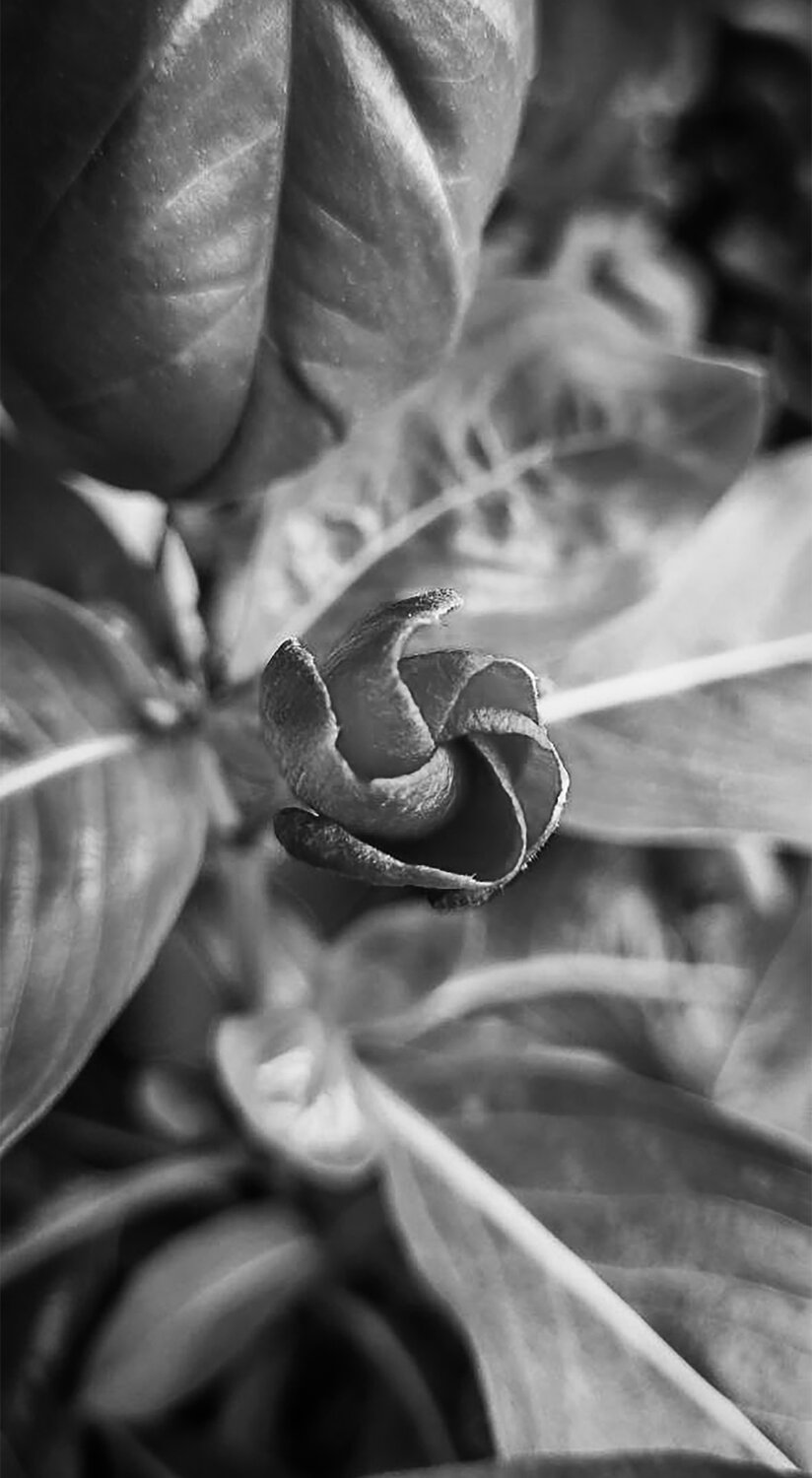Photo #14048473
