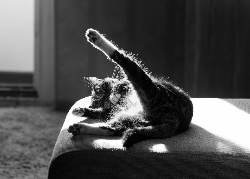 Photograph by Таращук Евгений