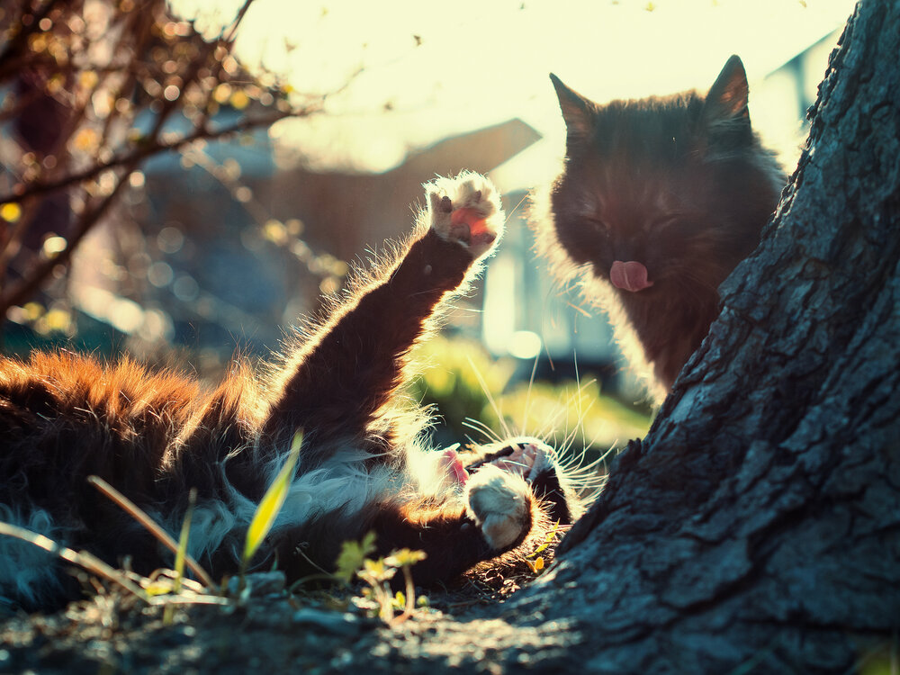 Photograph by Таращук Евгений