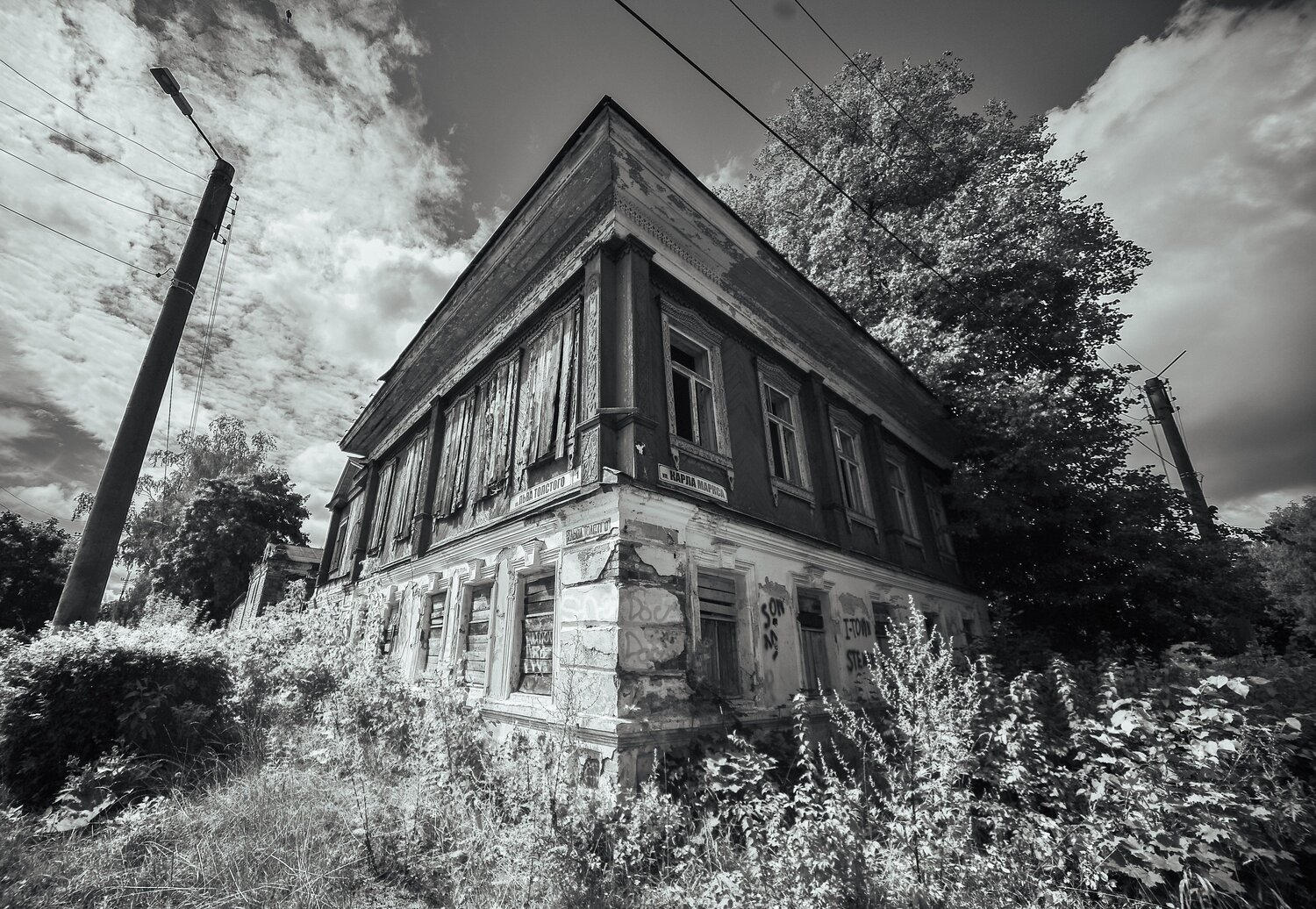Photo #14048568