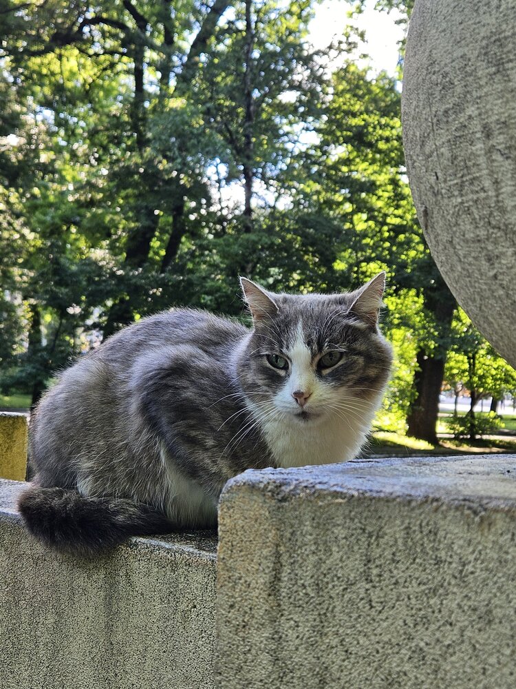 Фотография автора Анна Петренко