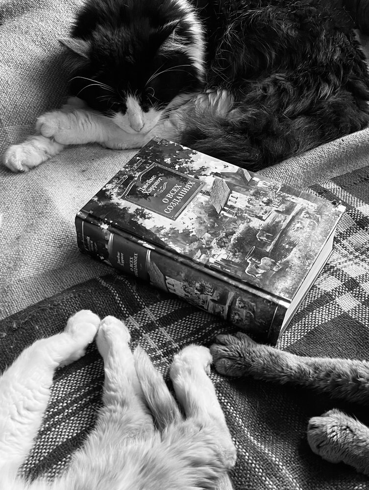 Photograph by Ольга Ручьева