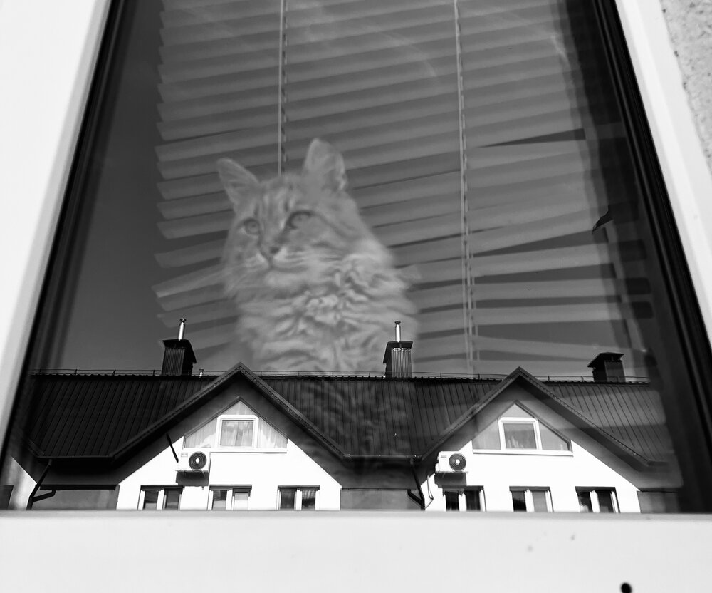 Photograph by Ольга Ручьева
