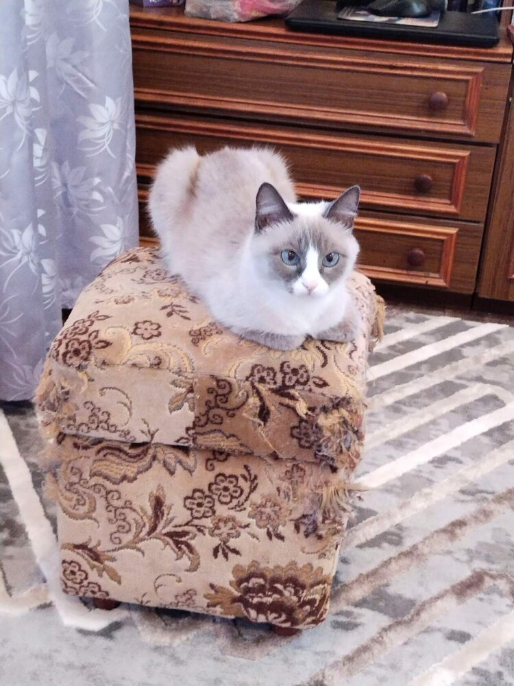 Photograph by Мария Клеба