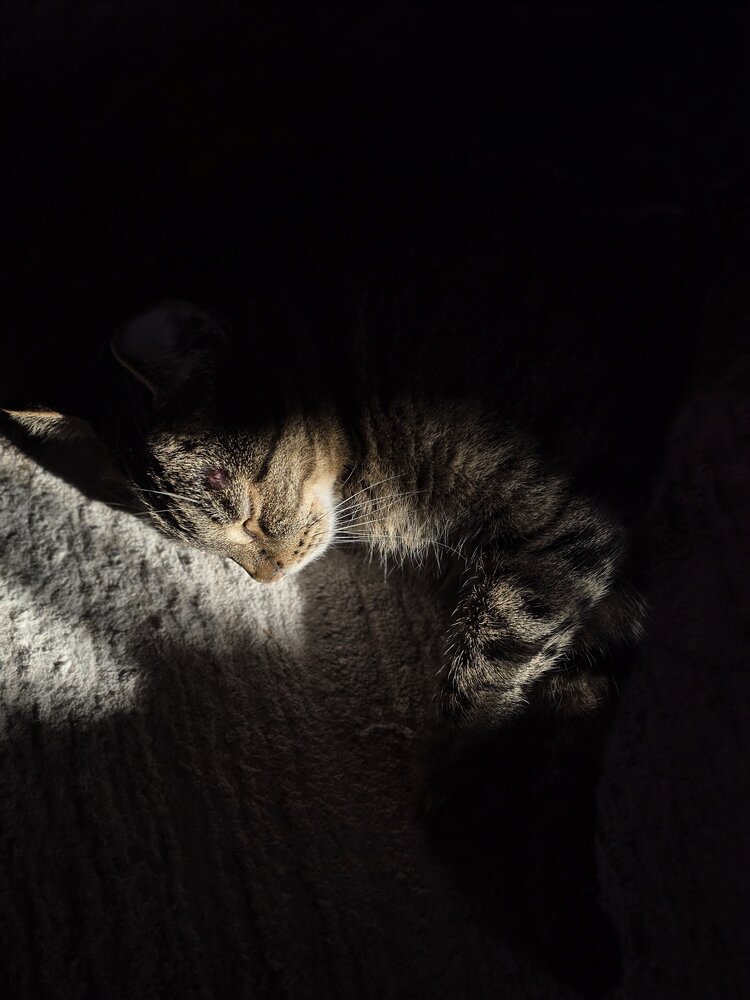 Photograph by Ирина Ященко