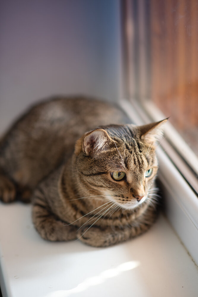 Photograph by Ирина Ященко