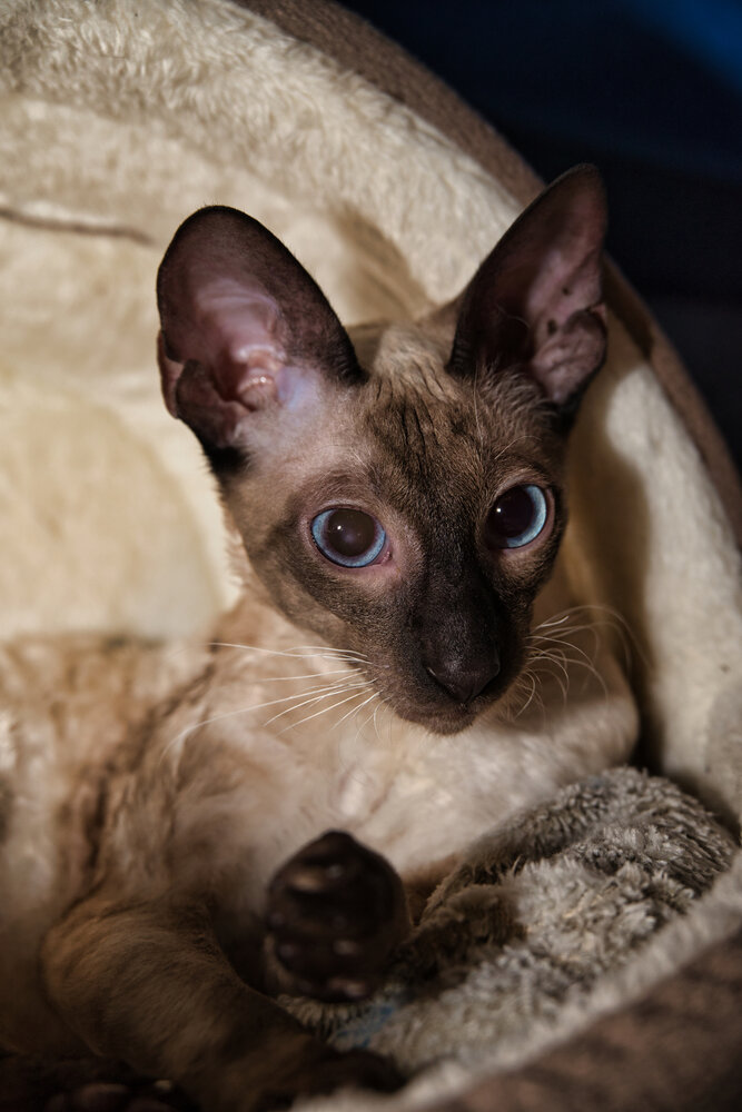 Photograph by Vjaceslavs