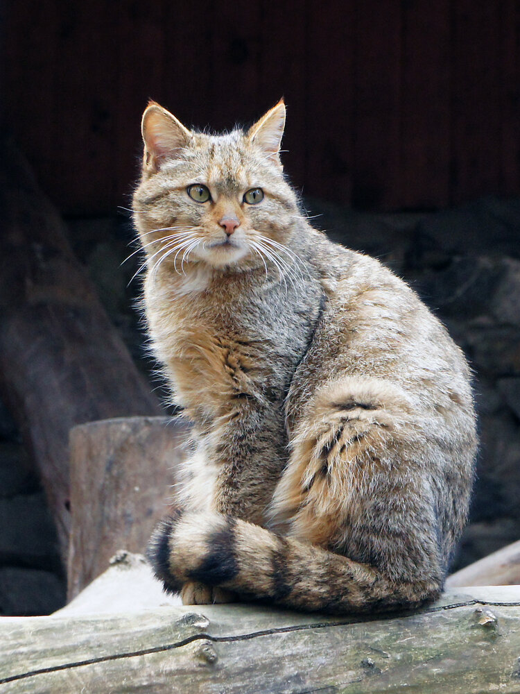 Photograph by Людмила