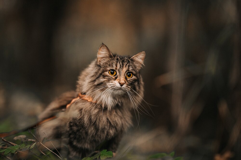 Photograph by Александр Белов