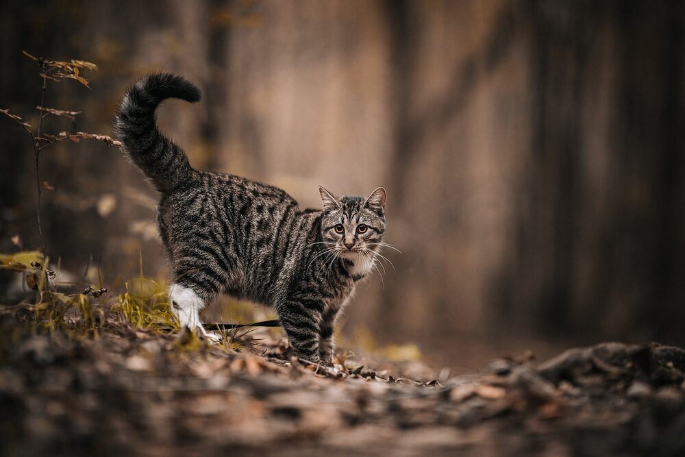 Photograph by Александр Белов