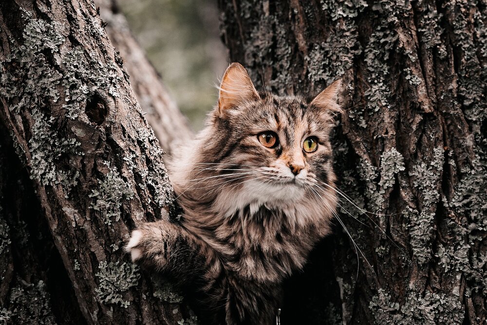 Photograph by Александр Белов