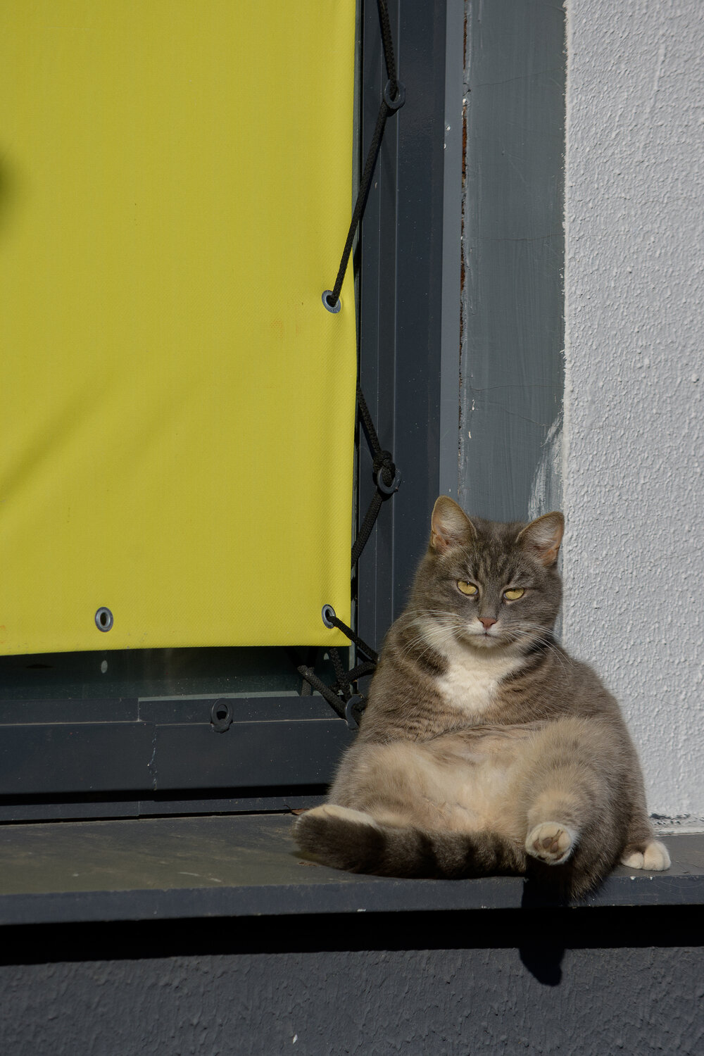 Photo #14049084