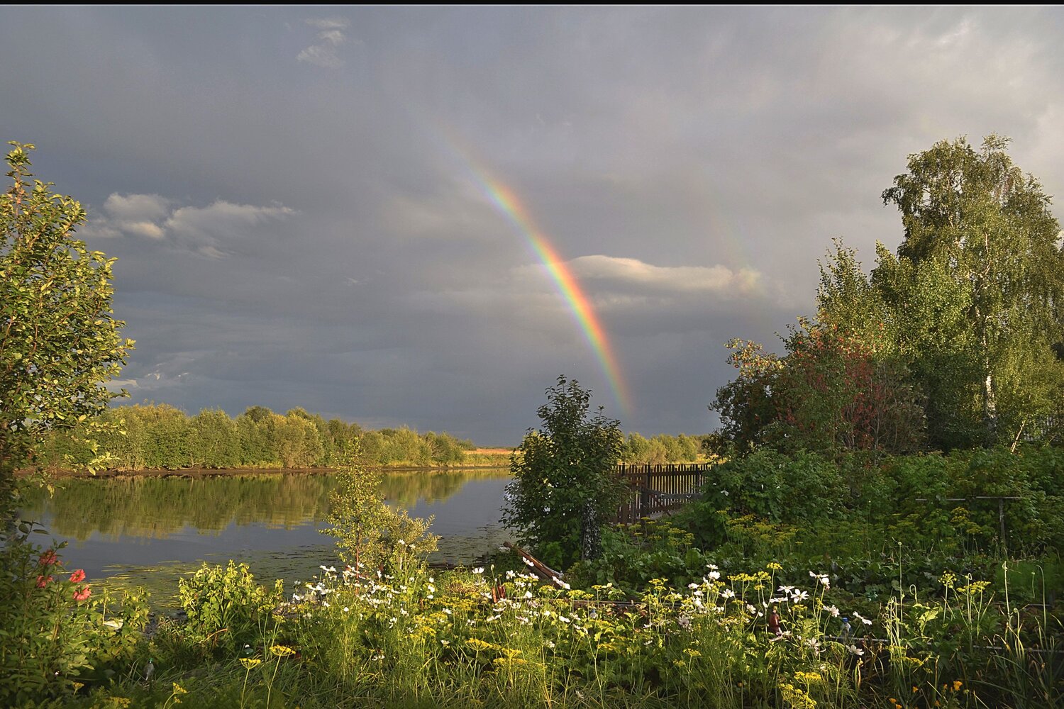 Photo #14049106