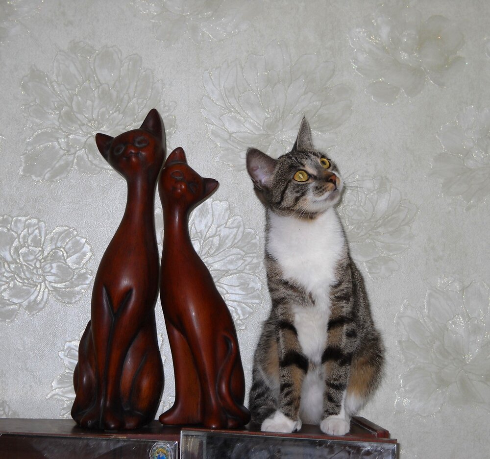 Тритий лишний