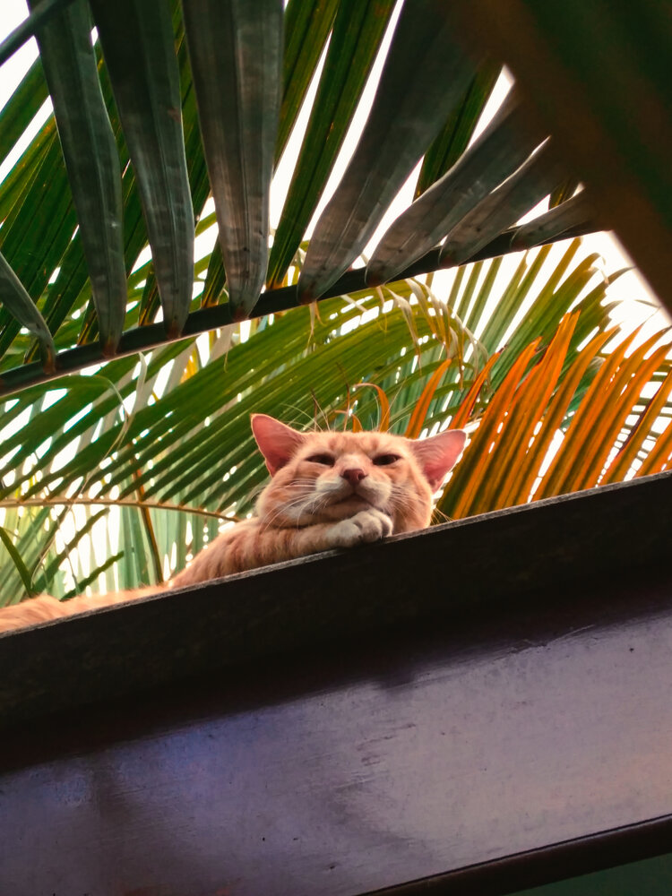 Photograph by Kumaran Dinushan