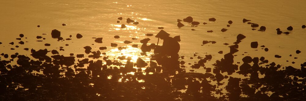 Dawn of labor in Chau Tan beach