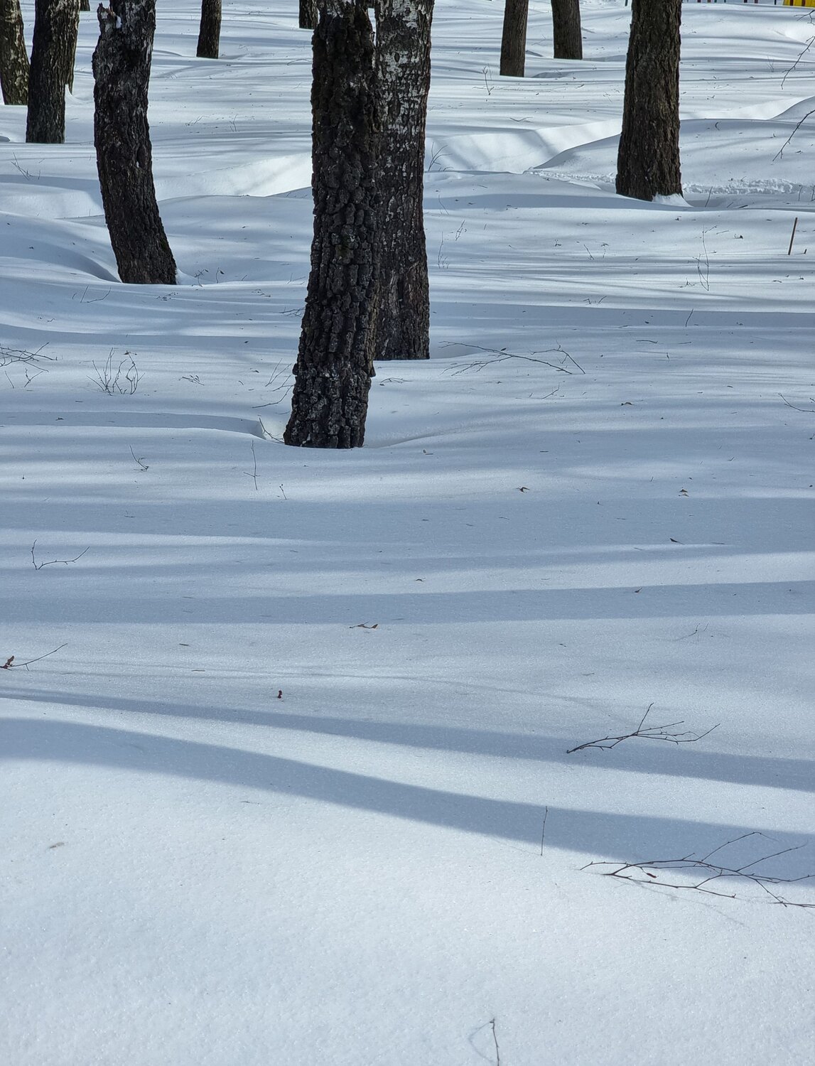 Photo #14049197