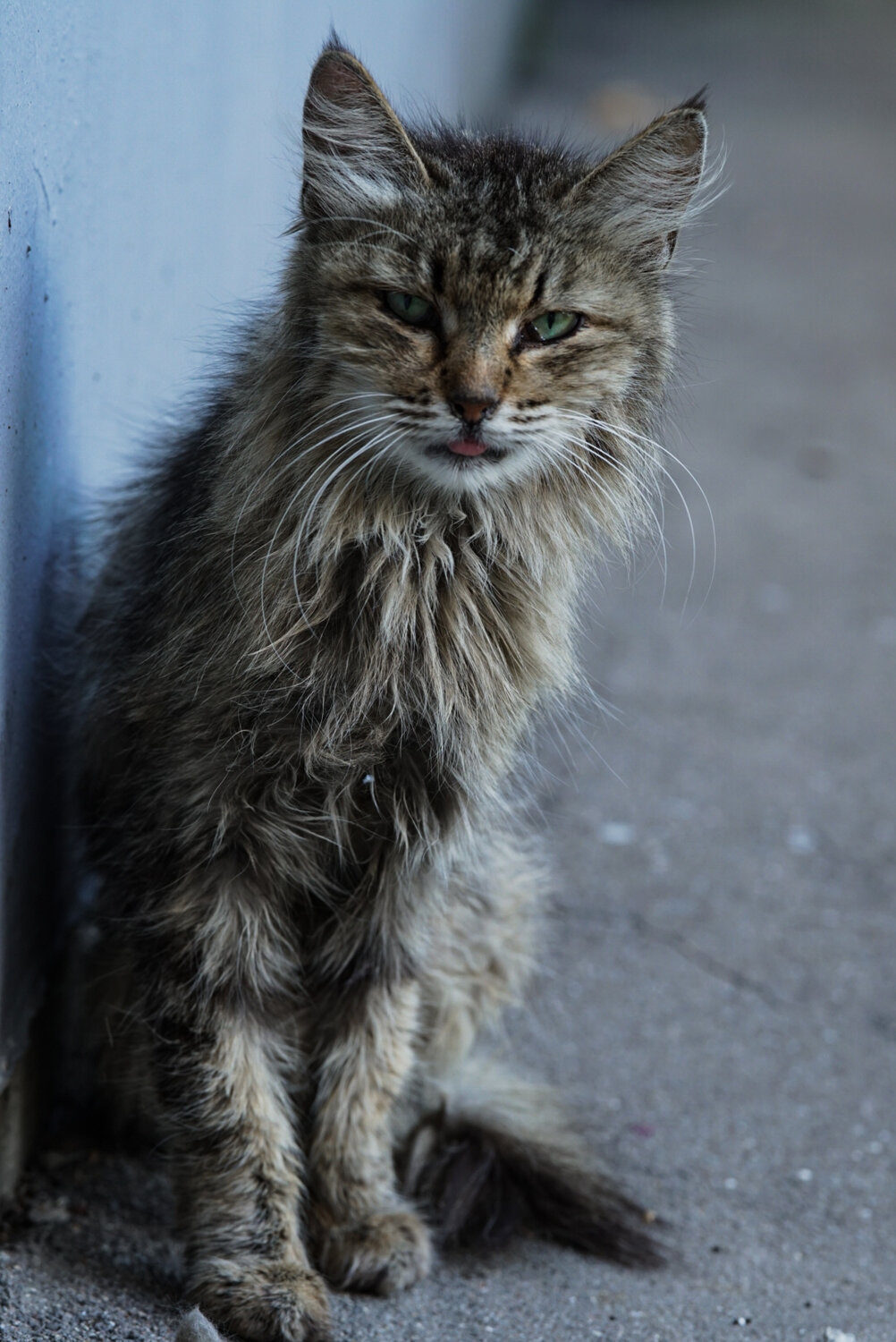 Photo #14049198