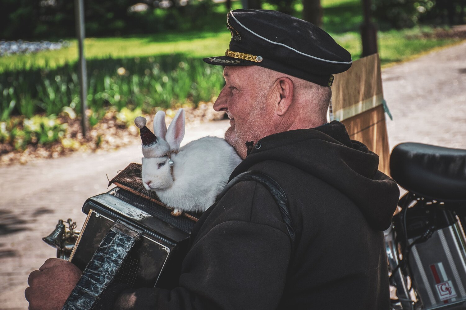 Музыканты