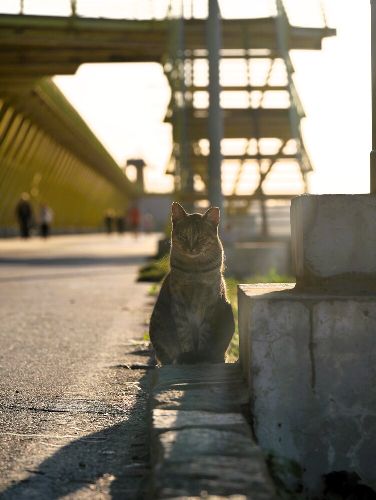 Photograph by Владимир Зубанков