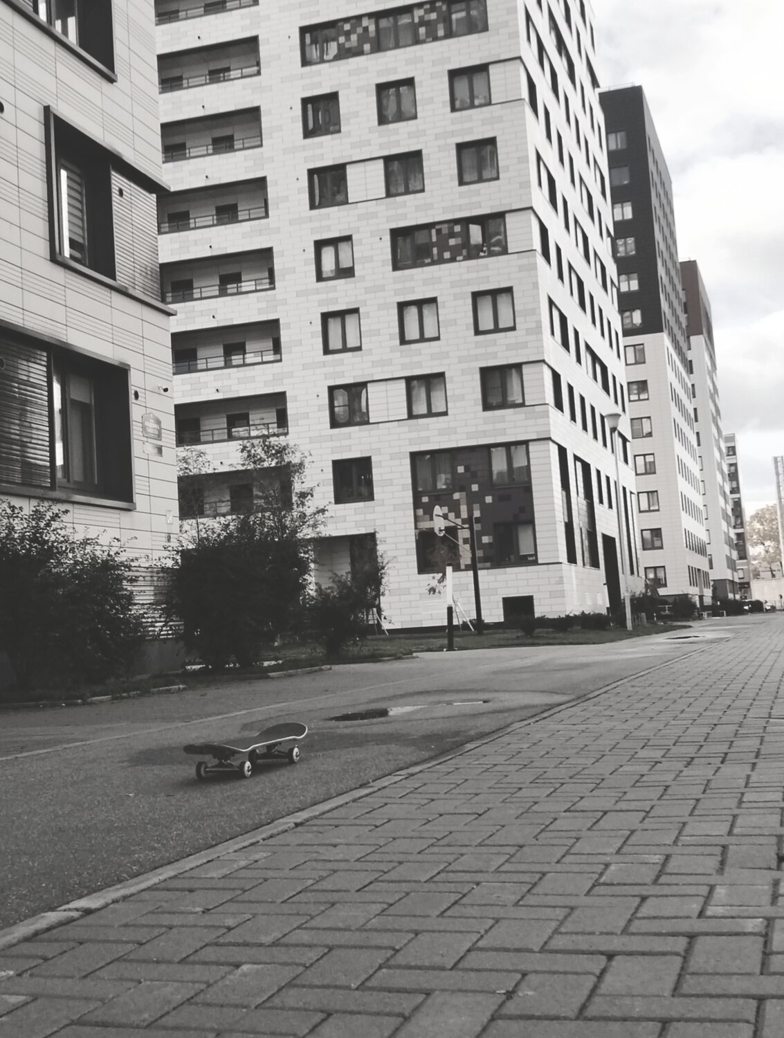 Photo #14049217