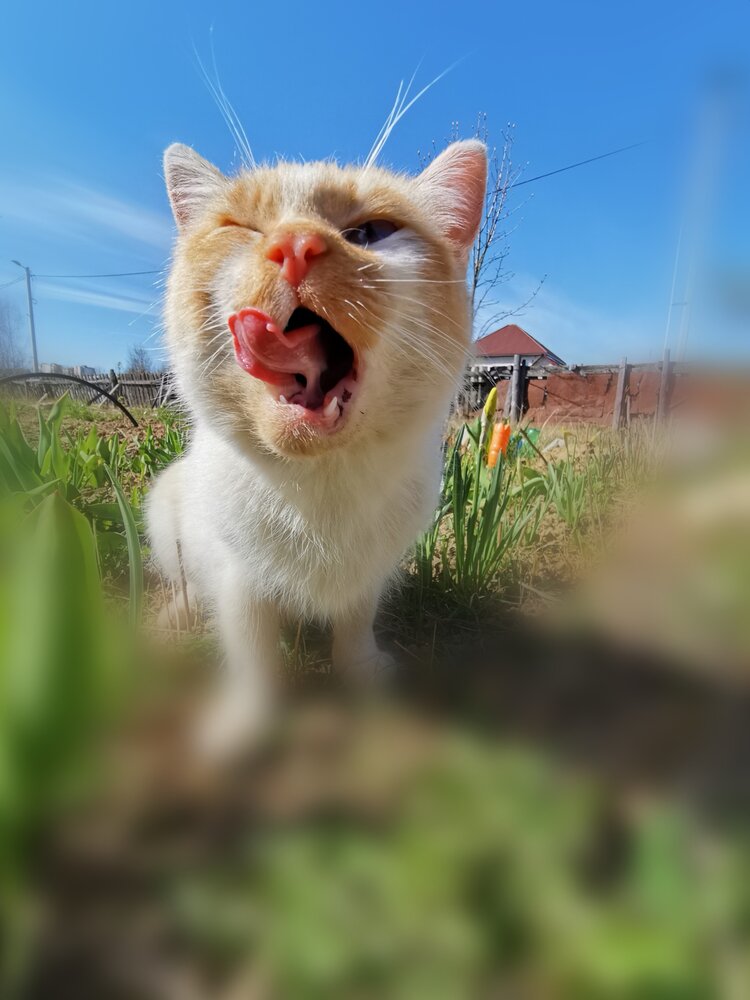 Photograph by Людмила Орловская