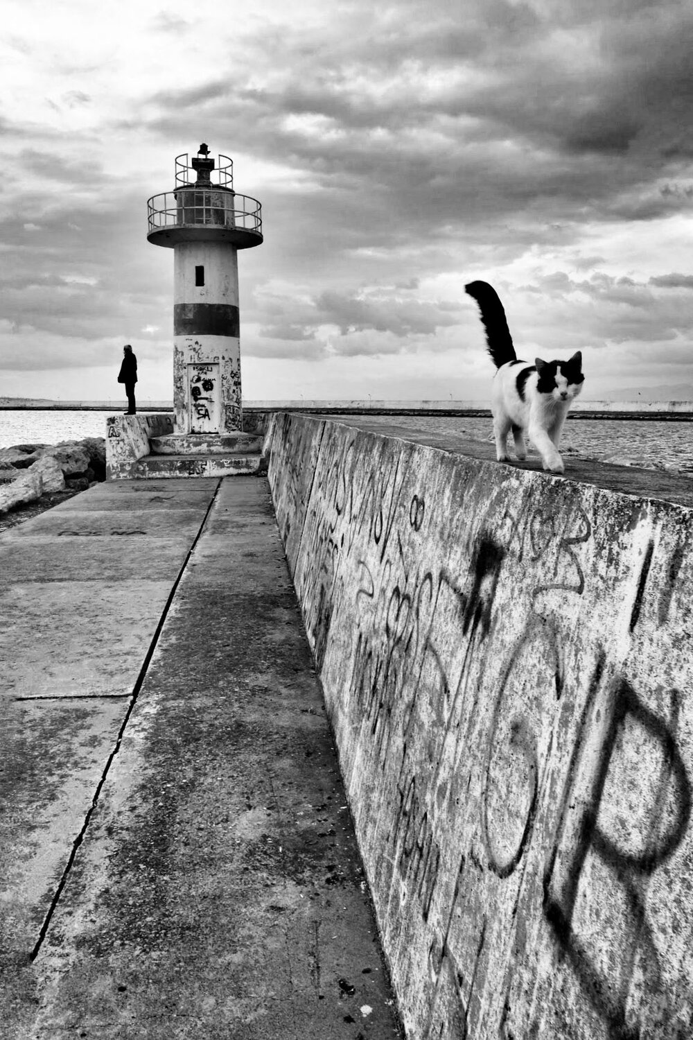 Photo #14049290