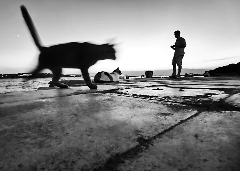 Photograph by Eylem barış