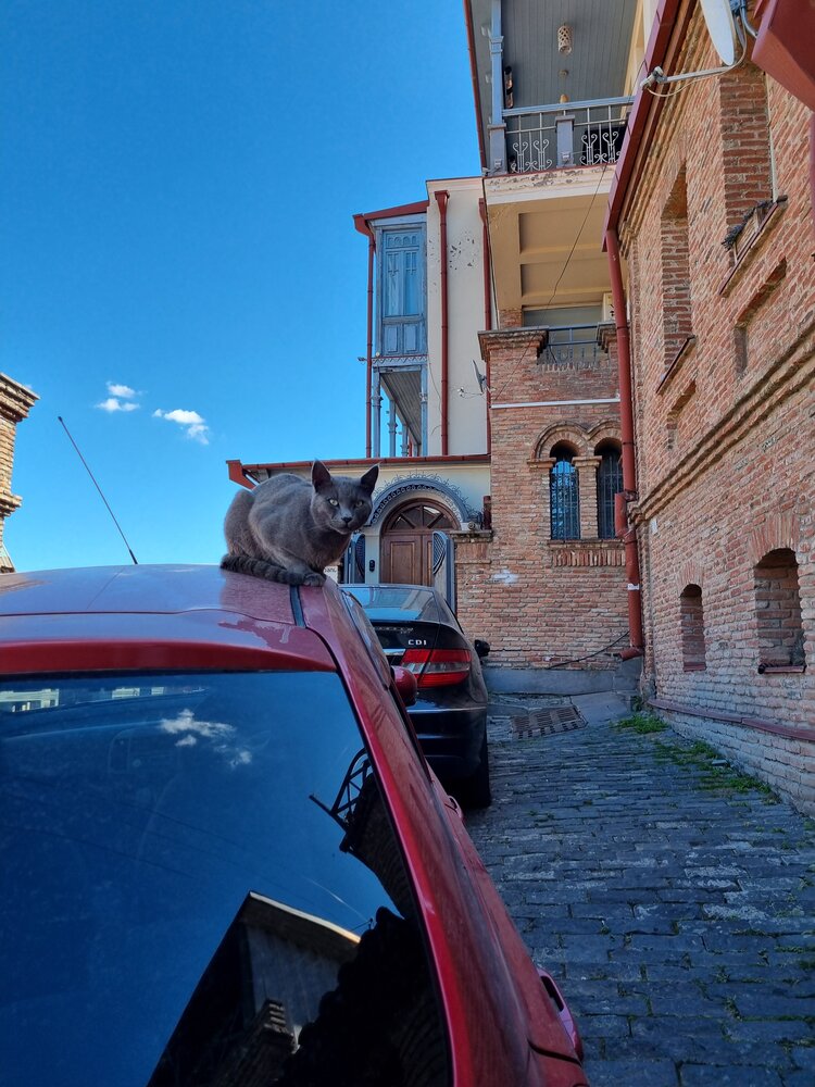 Photograph by Наталья Королева