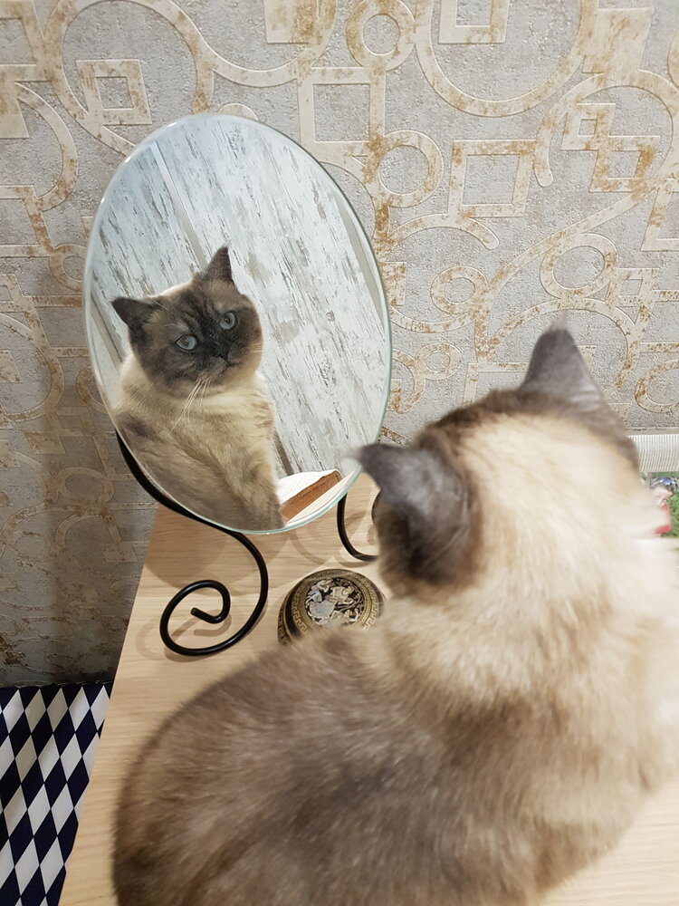 Photograph by Наталья Королева