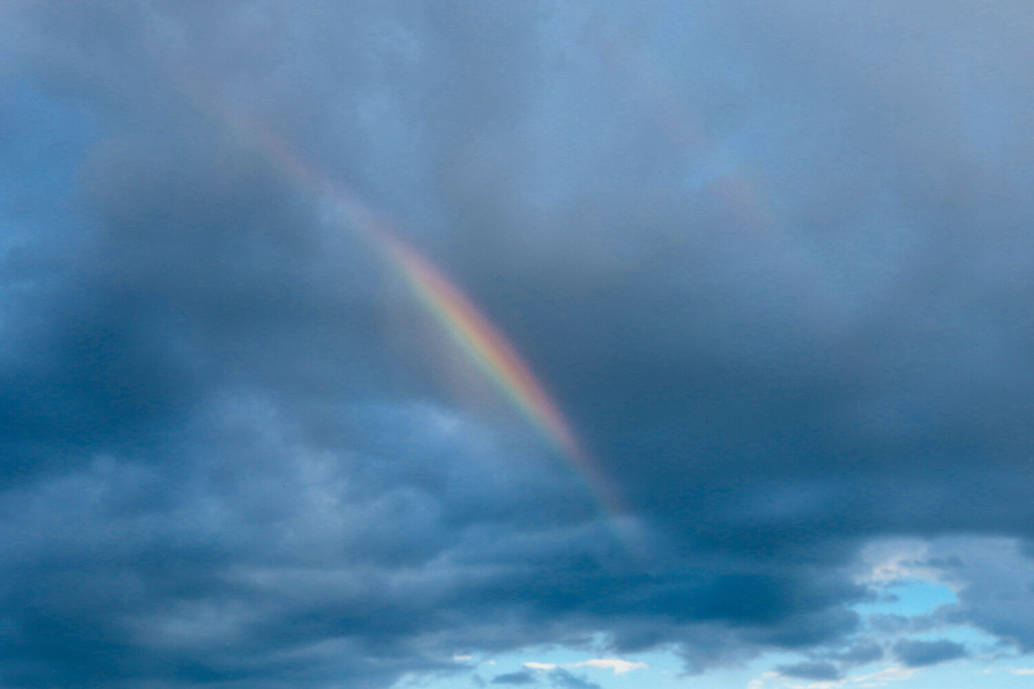 Photo #14049392