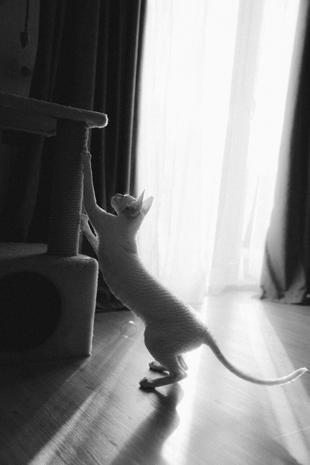 Photo #14049458